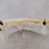 Coffee table petrified wood 55190