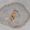 Coffee table petrified wood 55191