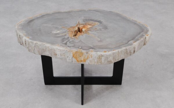 Coffee table petrified wood 55191