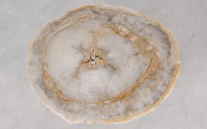 Coffee table petrified wood 55192