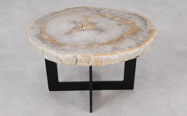 Coffee table petrified wood 55192