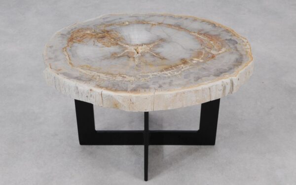 Coffee table petrified wood 55193