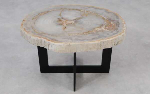 Coffee table petrified wood 55194