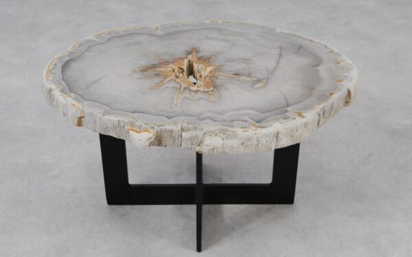 Coffee table petrified wood 55195