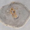 Coffee table petrified wood 55196