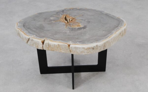 Coffee table petrified wood 55196