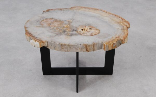 Coffee table petrified wood 55199