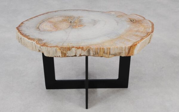 Coffee table petrified wood 55207