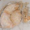 Coffee table petrified wood 55207