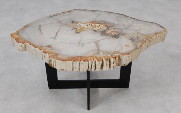 Coffee table petrified wood 55208