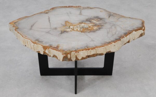 Coffee table petrified wood 55209