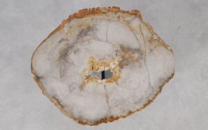 Coffee table petrified wood 55210