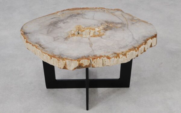 Coffee table petrified wood 55210