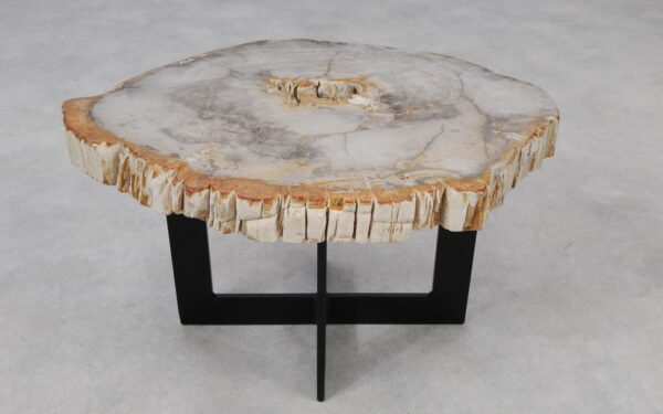 Coffee table petrified wood 55211