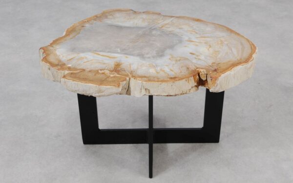 Coffee table petrified wood 55212