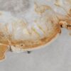 Coffee table petrified wood 55212