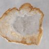Coffee table petrified wood 55213