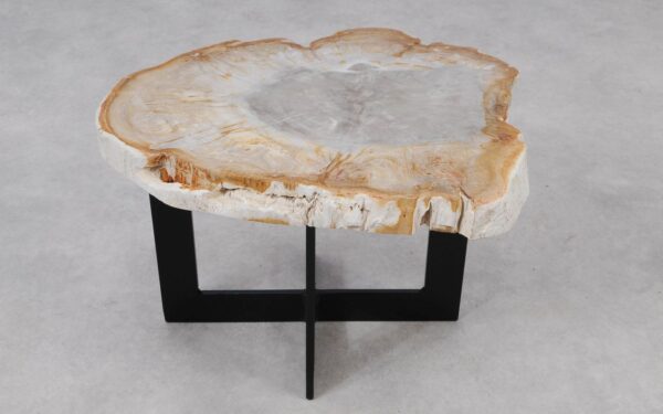 Coffee table petrified wood 55213