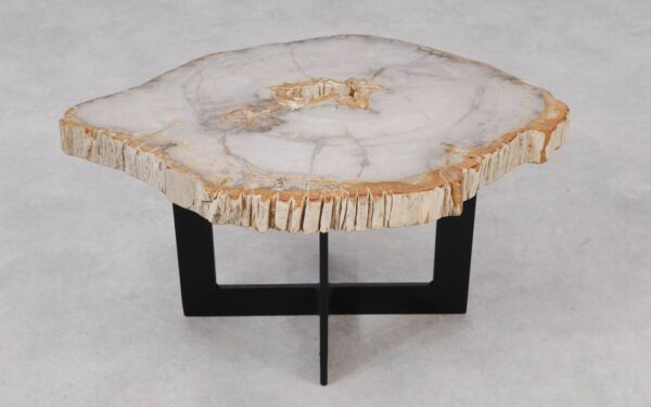 Coffee table petrified wood 55215