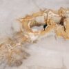 Coffee table petrified wood 55215