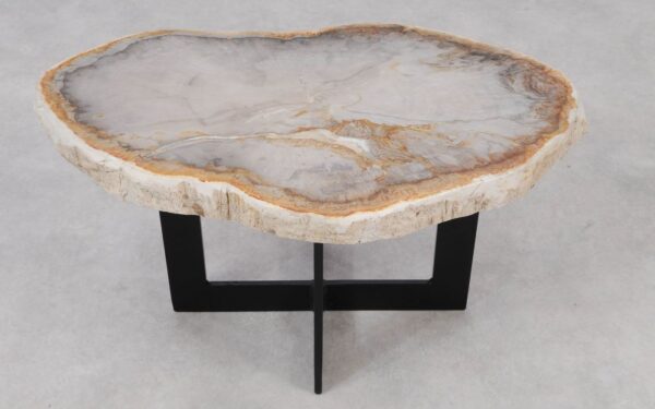 Coffee table petrified wood 55216