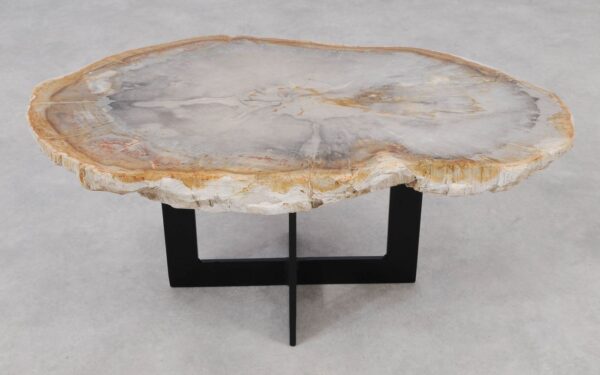 Coffee table petrified wood 55218