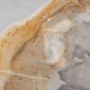 Coffee table petrified wood 55218