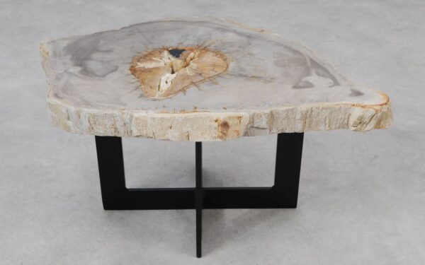 Coffee table petrified wood 55219