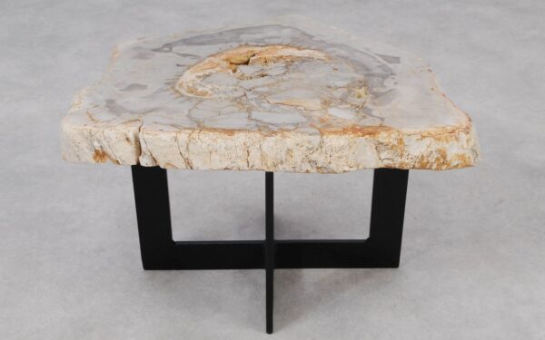 Coffee table petrified wood 55220