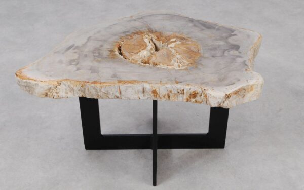 Coffee table petrified wood 55221