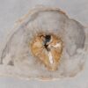 Coffee table petrified wood 55222
