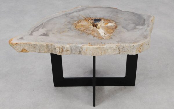 Coffee table petrified wood 55222