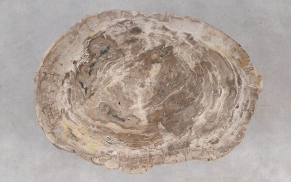 Coffee table petrified wood 55226