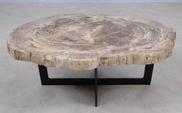 Coffee table petrified wood 55226