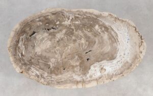 Coffee table petrified wood 55229