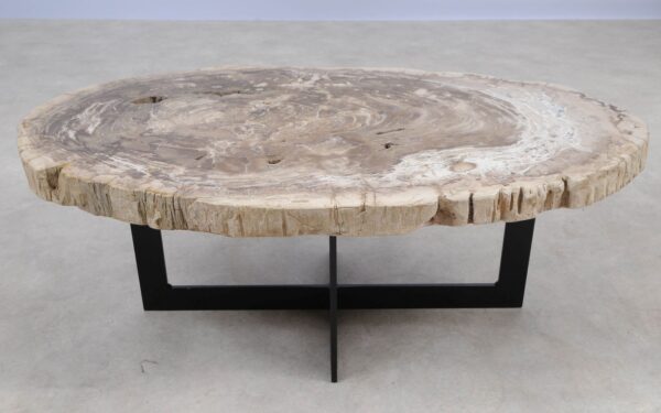 Coffee table petrified wood 55229