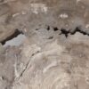Coffee table petrified wood 55229