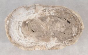 Coffee table petrified wood 55230