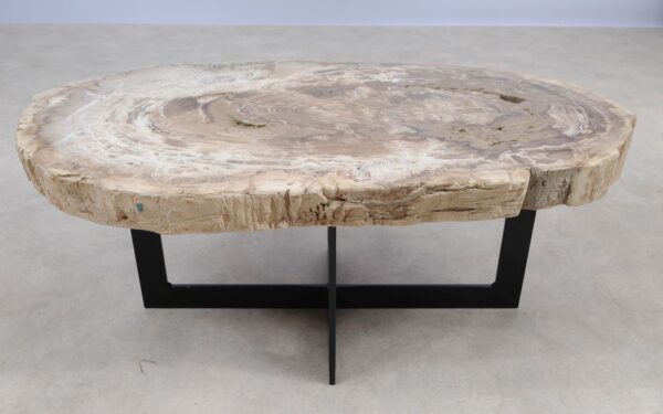 Coffee table petrified wood 55230