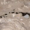 Coffee table petrified wood 55230
