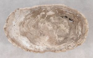 Coffee table petrified wood 55231