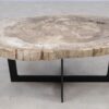 Coffee table petrified wood 55231