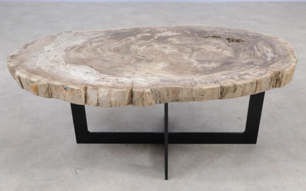 Coffee table petrified wood 55231