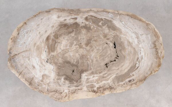 Coffee table petrified wood 55232