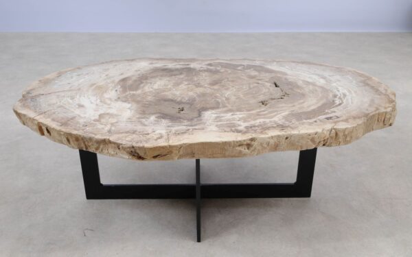 Coffee table petrified wood 55232