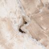 Coffee table petrified wood 55232