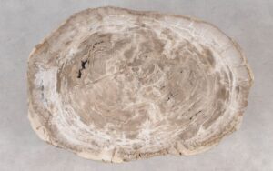 Coffee table petrified wood 55233