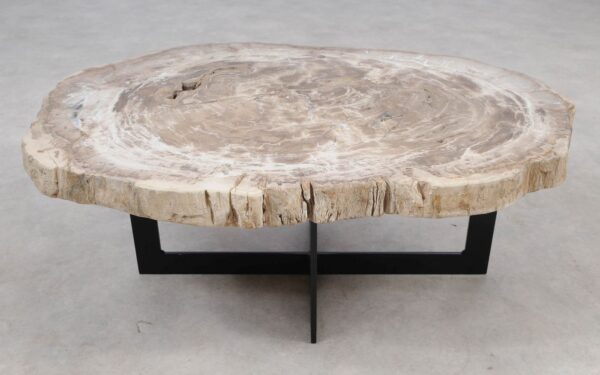 Coffee table petrified wood 55233