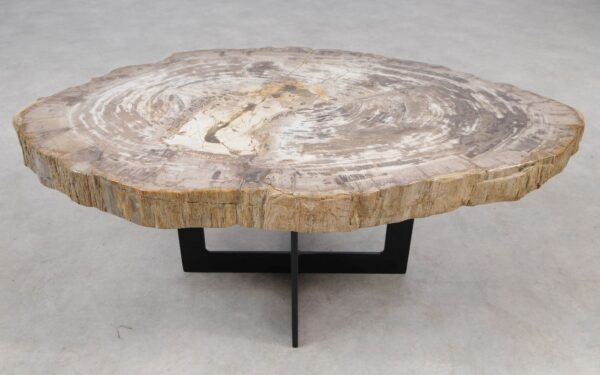 Coffee table petrified wood 55234