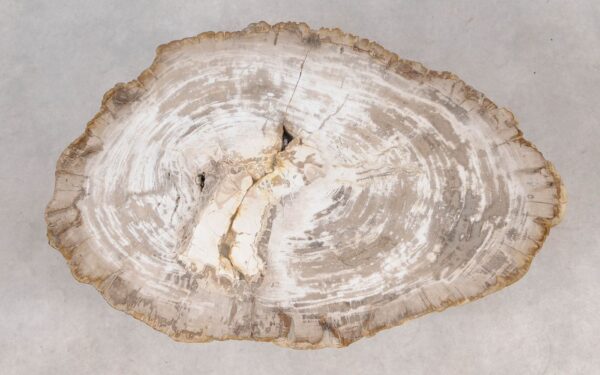 Coffee table petrified wood 55235